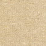 0.5m Bolt End Studio E Fabrics: Peppered Cotton 108" Wide - Sand