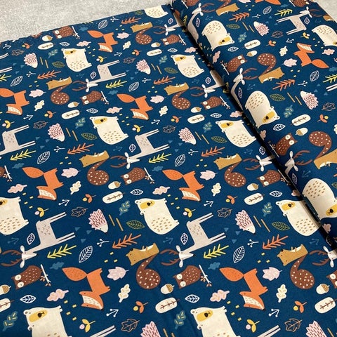 Dashwood Studio: Habitat - 1697