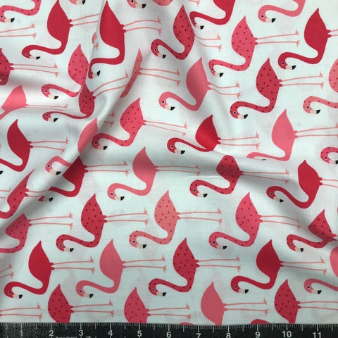 Robert Kaufman: Urban Zoologie - Flamingos