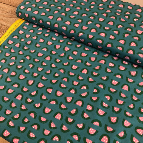 Ruby Star Society: Food Group Collaborative Collection - Watermelon Succulent