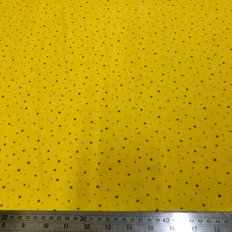 Robert Kaufman: Reef - Curry